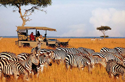 Safari Resor Kenya