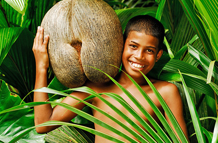 Världens största kokosnöt finns på Seychellerna.