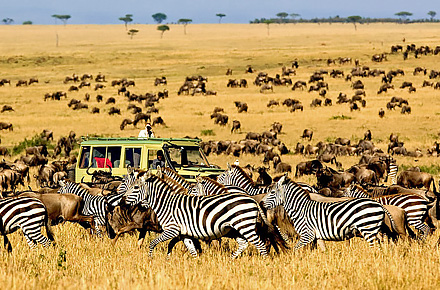 Resa till Tanzania. Upplev Safari i världsklass.