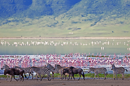 Ngorongorokratern i Tanzania.